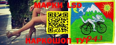 кокс Донской