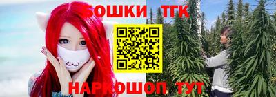 кокс Донской