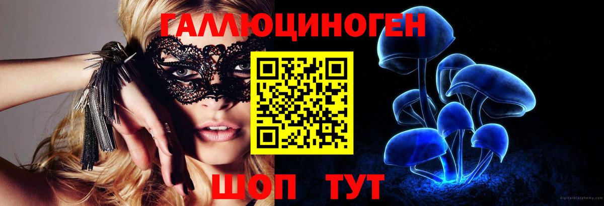 Галлюциногенные грибы GOLDEN TEACHER  Галлюциногенные грибы MAGIC MUSHROOMS  Вход с VPN  Мичуринск 